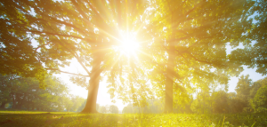 Sunshine can positively impact PD symptoms